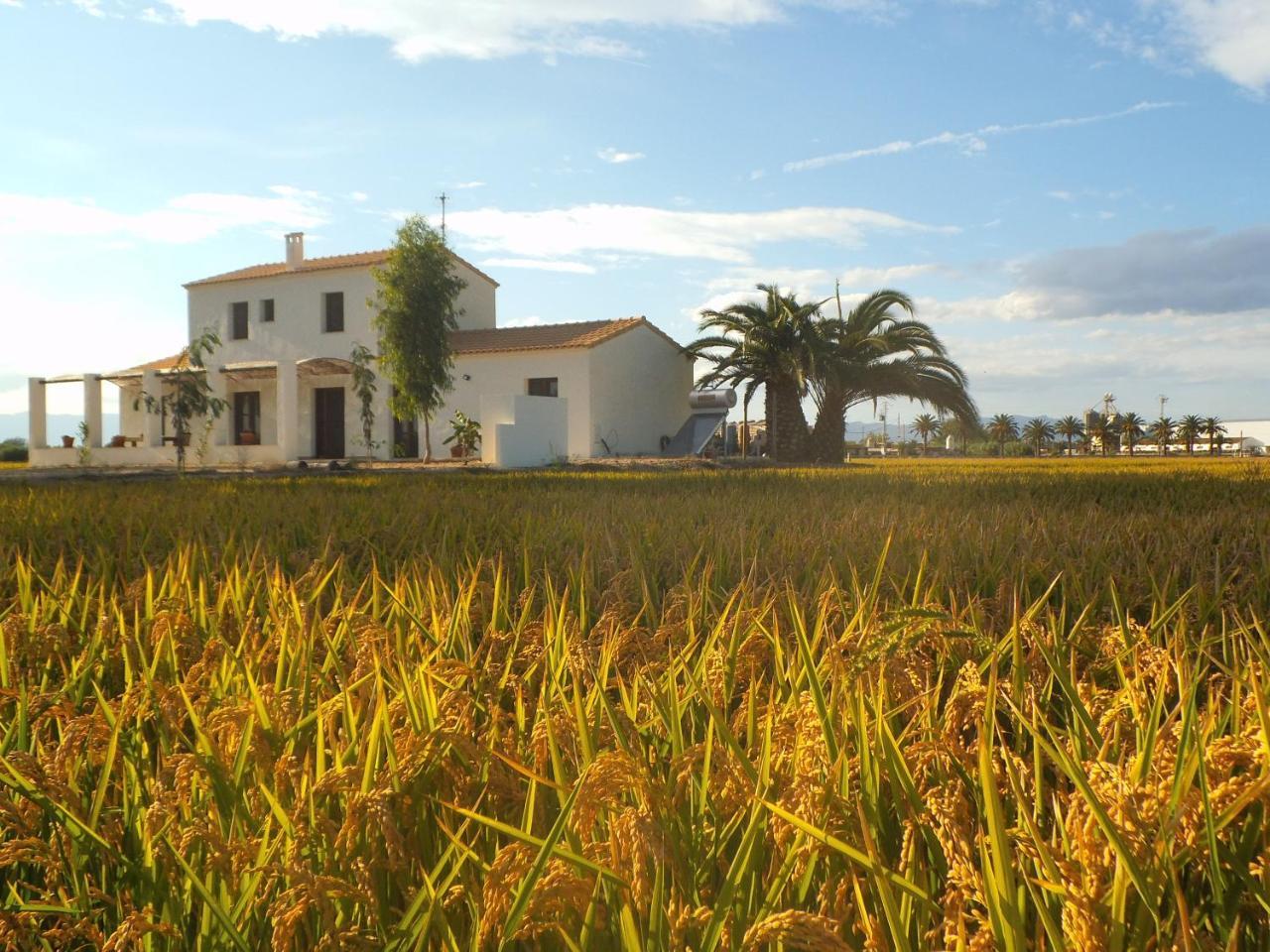 Mas Dels Bonos Pension Deltebre Buitenkant foto
